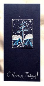 Звёздный вечер